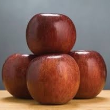 Malus domestica - 'Winecrisp™' Apple